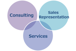businessdomain